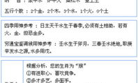 算命 生辰八字,探寻命运之谜的八字命理奥秘