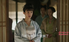 知否知否应是绿肥红瘦小说原版,一部描绘古代女性命运的传奇