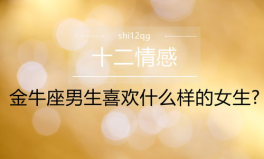 金牛座男生喜欢什么样的女生,温柔智慧，共筑温馨爱情