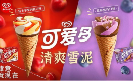 和路雪雪糕加盟,开启甜蜜事业新篇章