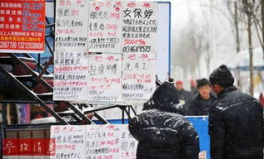 奉化劳动力市场最新招聘信息,最新招聘信息汇总，就业机会一网打尽