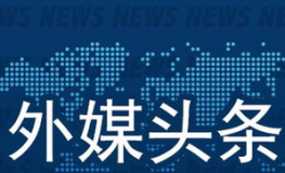 奇媒网赚学院,开启网络赚钱新篇章