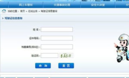 驾驶员违章扣分查询,便捷途径与处理方法全解析