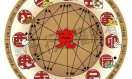长生不死是什么生肖,揭秘生肖中的永恒象征