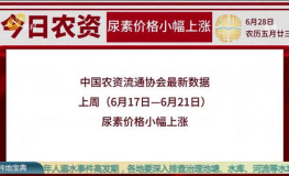 农资价格,涨跌背后的市场逻辑与未来趋势”