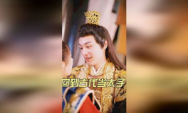 回到古代当太子,太子重生，开启古代传奇