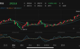 金价行情,市场动态下的投资风向标